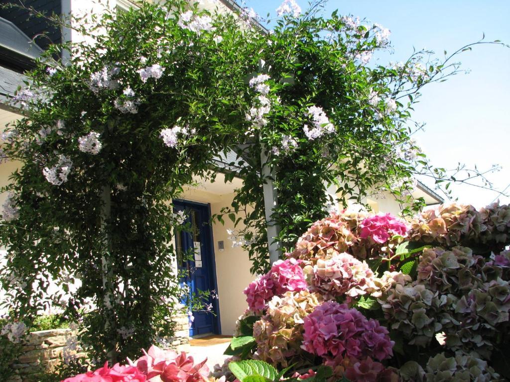 L'Escale Evel Er Ger Bed and Breakfast Locquirec Exteriör bild